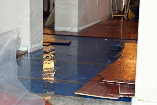 Professional Burst Pipe Water Damage technician working in Bloomington, TX